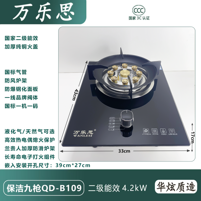 万乐思-保洁九枪QD-B109 热电偶 T天
