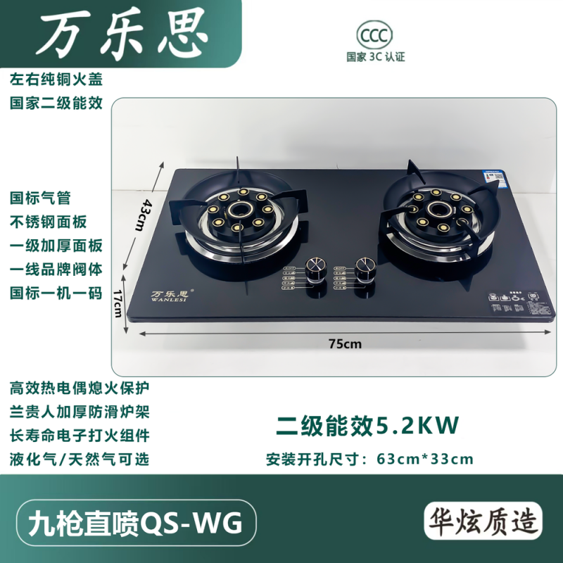 万乐思-九枪直喷QS-WG 热电偶 T天