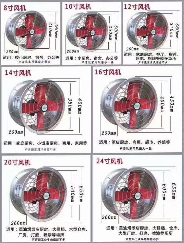 风的宝壁式轴流风机-250网（10寸）铜