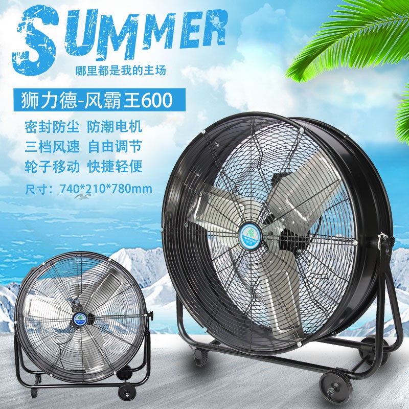 狮力德-风霸王600